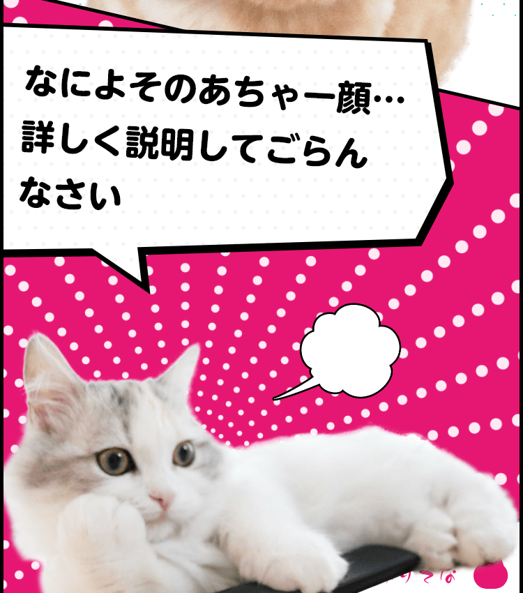猫漫画で解説！家族でおトクになる「ふぁみりそな」って