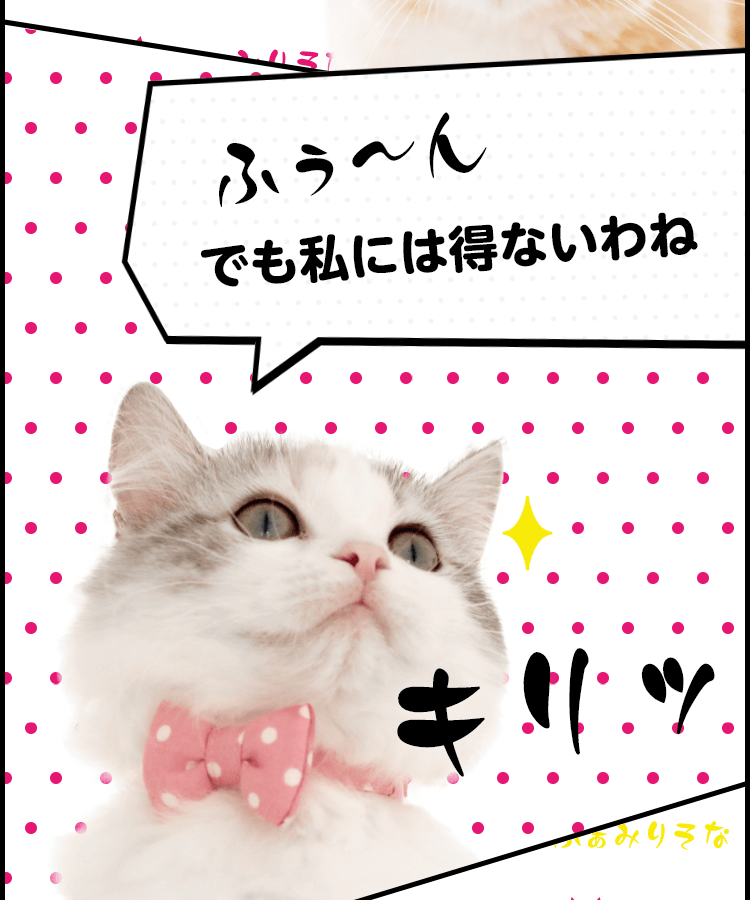 SP 家族愛 大蔵 りそな(サイン入り) SP 家族愛 大蔵 りそな(サイン入り