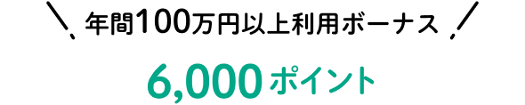 年間100万円以上利用ボーナス 6,000ポイント