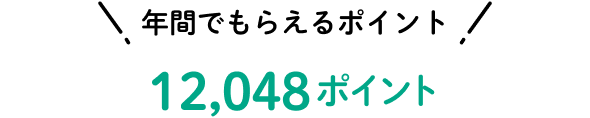 年間でもらえるポイント 12,048ポイント