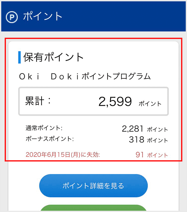 〈OkiDokiポイント〉ポイント確認イメージ