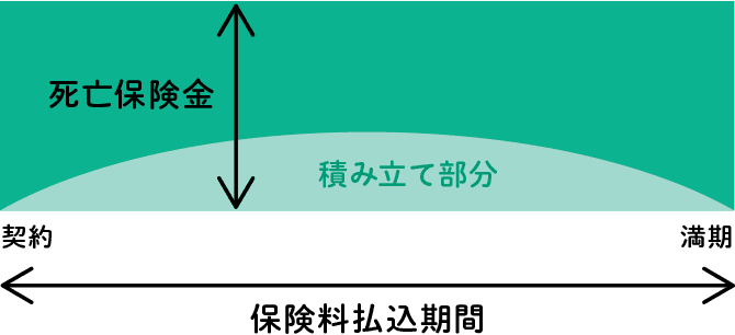 定期保険とは