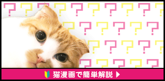 初めて猫を飼う人の心構えは？習性・性格から見た飼い方を解説｜りそな 