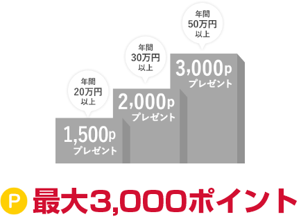 最大3,000ポイント