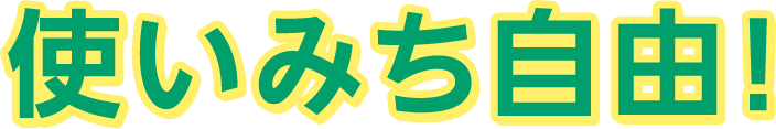 使い道自由!
