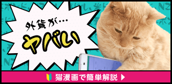 外貨が・・・ヤバイ 猫漫画で簡単解説