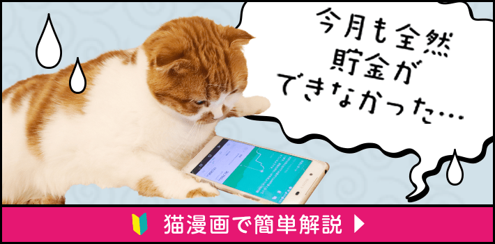 今月も全然貯金ができなかった・・・ 猫漫画で簡単解説はここをクリック