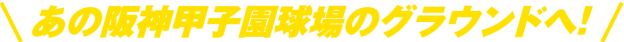 あの阪神甲子園球場のグラウンドへ！