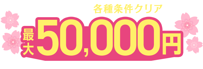 給与受取り等、各種条件クリアで最大50,000円