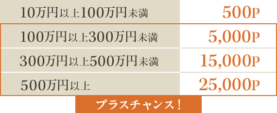 10万円以上100万円未満 500P プラスチャンス！ 100万円以上300万円未満 5,000P 300万円以上500万円未満 15,000P 500万円以上 25,000P