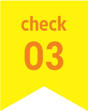 check 03