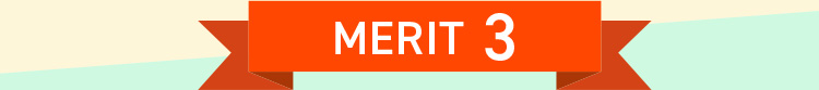 MERIT 3