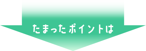 たまったポイントは