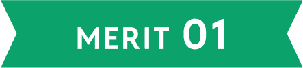 MERIT 01