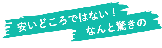 安いどころではない！ なんと驚きの