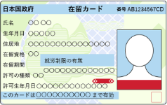 在留カード