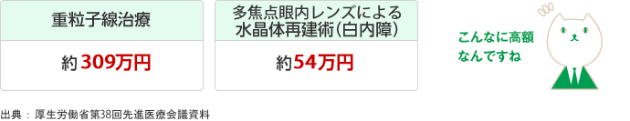 重粒子線治療 約309万円 多焦点眼内レンズによる水晶体再建術（白内障） 約54万円 出典 ： 厚生労働省第38回先進医療会議資料