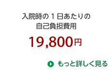 入院時の1日あたりの自己負担費用19,800円 もっと詳しく見る