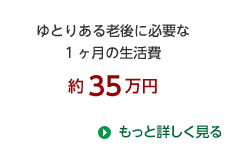 ゆとりある老後に必要な1ヶ月の生活費 約35万円 もっと詳しく見る