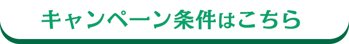 キャンペーン期間 2026/2/1（日）～5/29（金）まで エントリー期間 2026/2/1（日）～6/30（火）まで 月々5,000円の積立でも 1,000円のチャンス♪