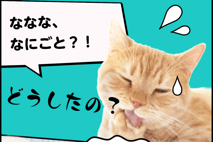 ななな、なにごと？！