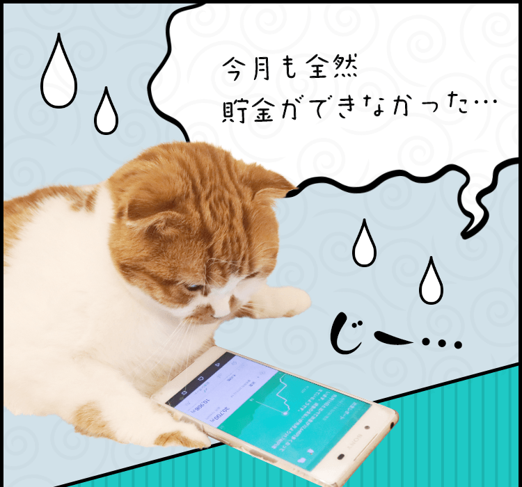 今月も全然貯金ができなかった…