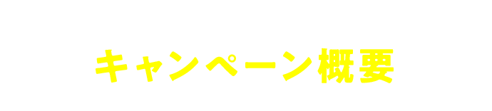 キャンペーン概要