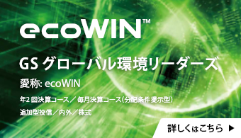 ecoWIN GSグローバル環境リーダーズ年2回決算コース/毎月決算コース(分配条件提示型）