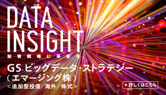 DATA INSIGHT 投資戦略に革新を。 GS ビッグデータ・ストラテジー （エマージング株） ＜追加型投信／海外／株式＞ 詳しくはこちら