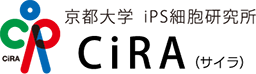 京都大学基金「iPS細胞研究基金」