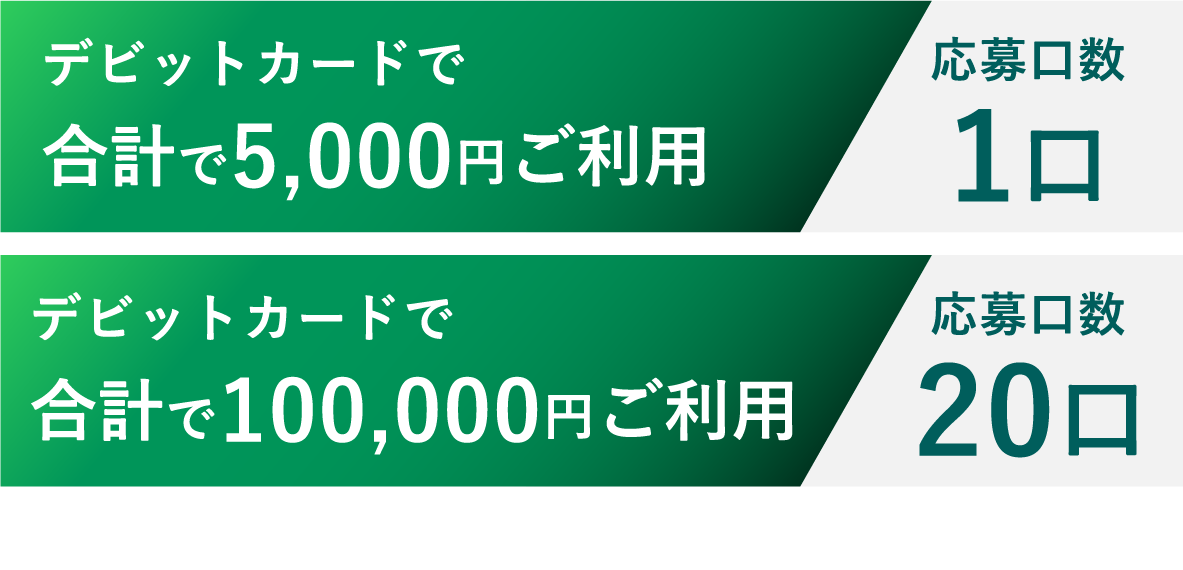 デビットカードで合計で5,000円ご利用…応募口数1口　デビットカードで合計で100,000円ご利用…応募口数20口　※ご利用金額の合計が5,000円で1口となります。