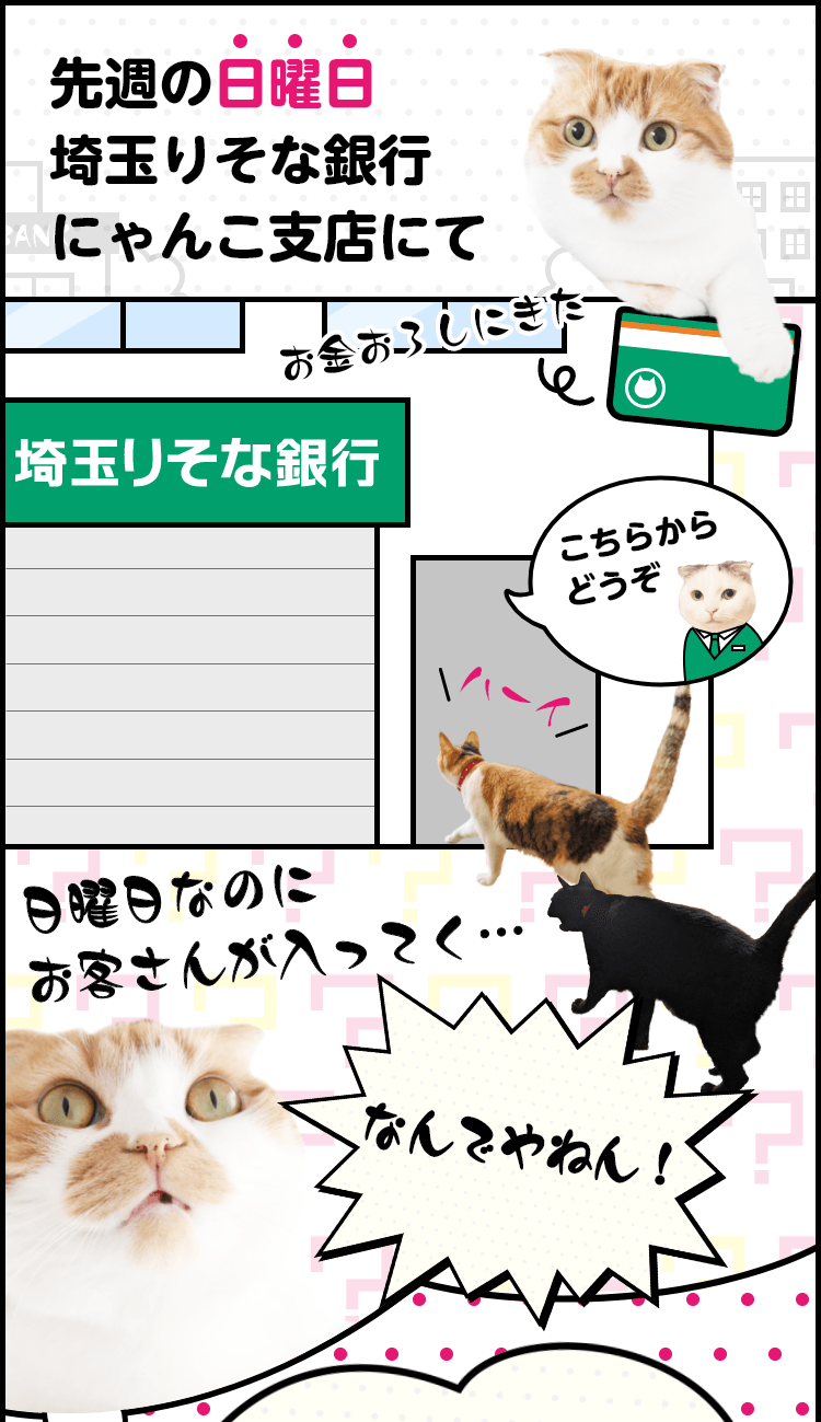 先週の日曜日埼玉りそな銀行にゃんこ支店にて こちらからどうぞ 日曜日なのにお客さんが入ってく… なんでやねん！