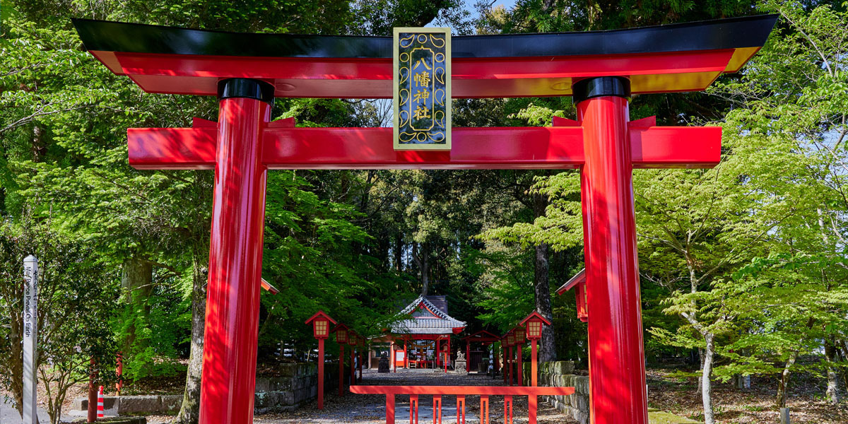 富岡八幡宮とは?その歴史と魅力を徹底解説