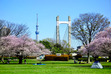 木場公園で自然とレジャーを満喫しよう！アクセス、施設、楽しみ方から周辺情報まで一挙紹介