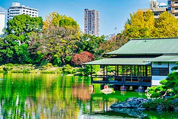 清澄庭園とは？歴史と基本情報