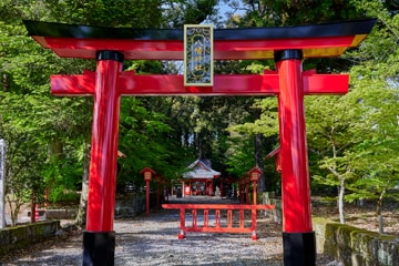 富岡八幡宮とは？その歴史と魅力を徹底解説