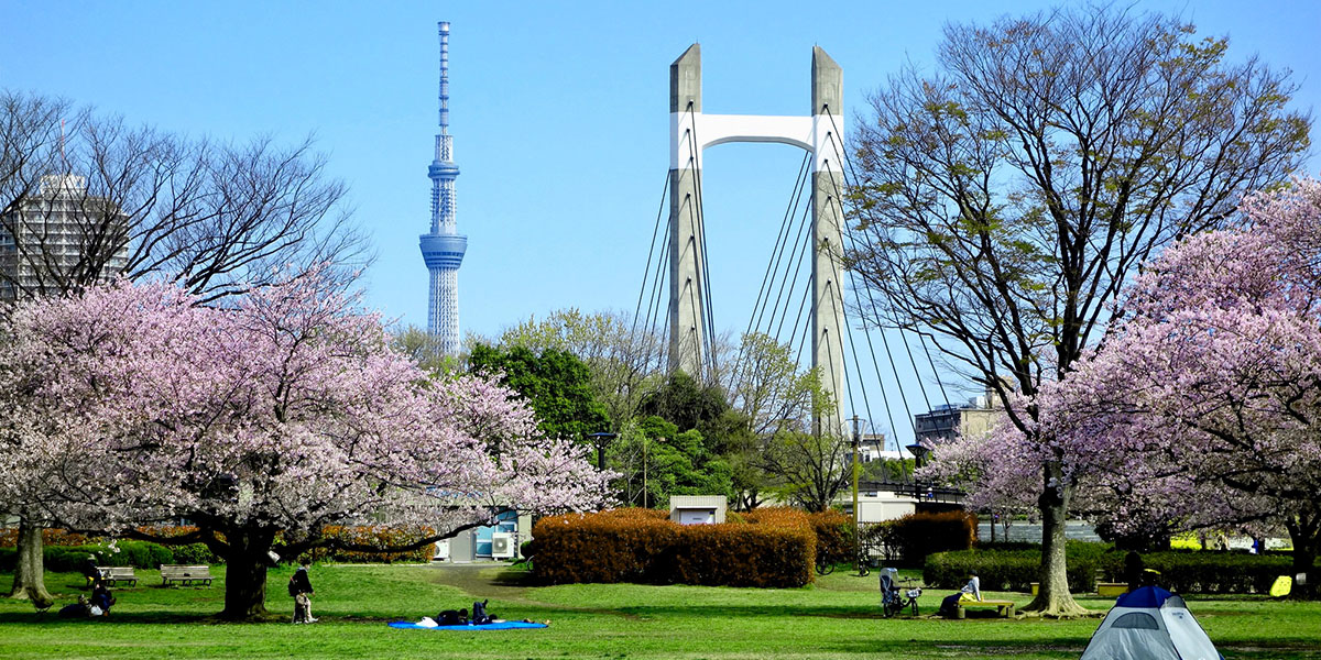 木場公園で自然とレジャーを満喫しよう!アクセス、施設、楽しみ方から周辺情報まで一挙紹介