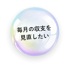 毎月の収支を見直したい