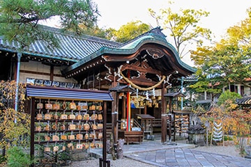 奈良県 郡山八幡神社がグラブ神社と呼ばれる理由？歴史、ご利益、アクセス情報などを解説