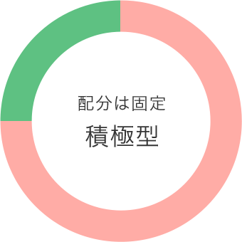 配分は固定 積極型